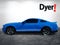 2010 Ford Mustang Shelby GT500