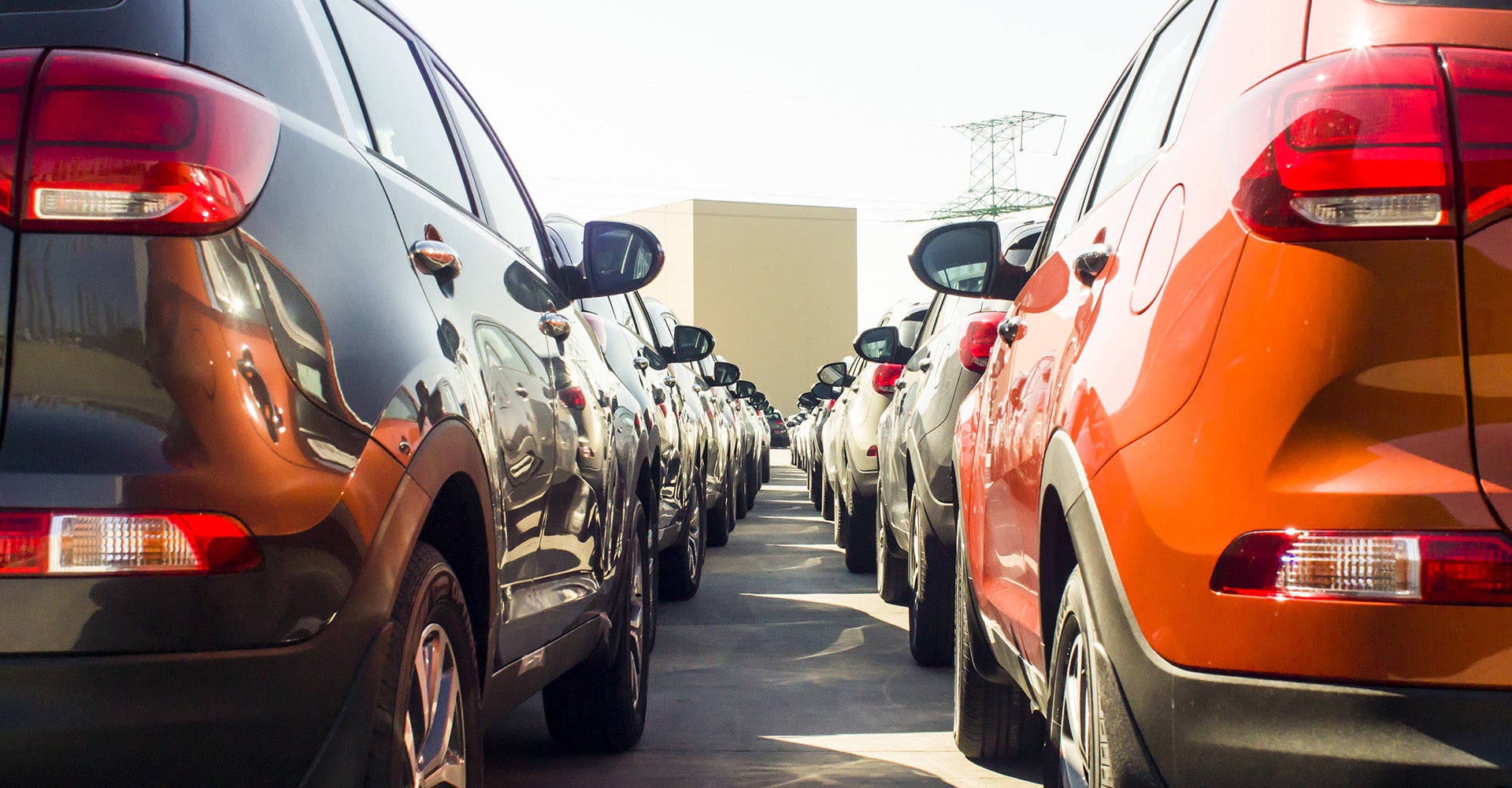 image of the backside of cars lined up on a lot